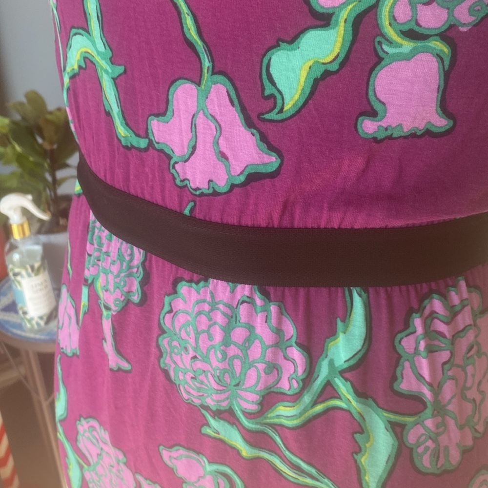 Lilly Pulitzer dress - Picture 5 of 8